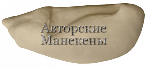 Манекен шилохвость ШИЛМ-1