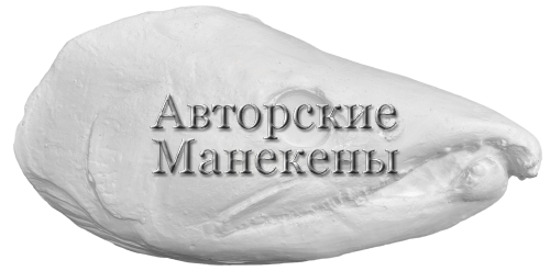 Голова кета закрытая пасть
